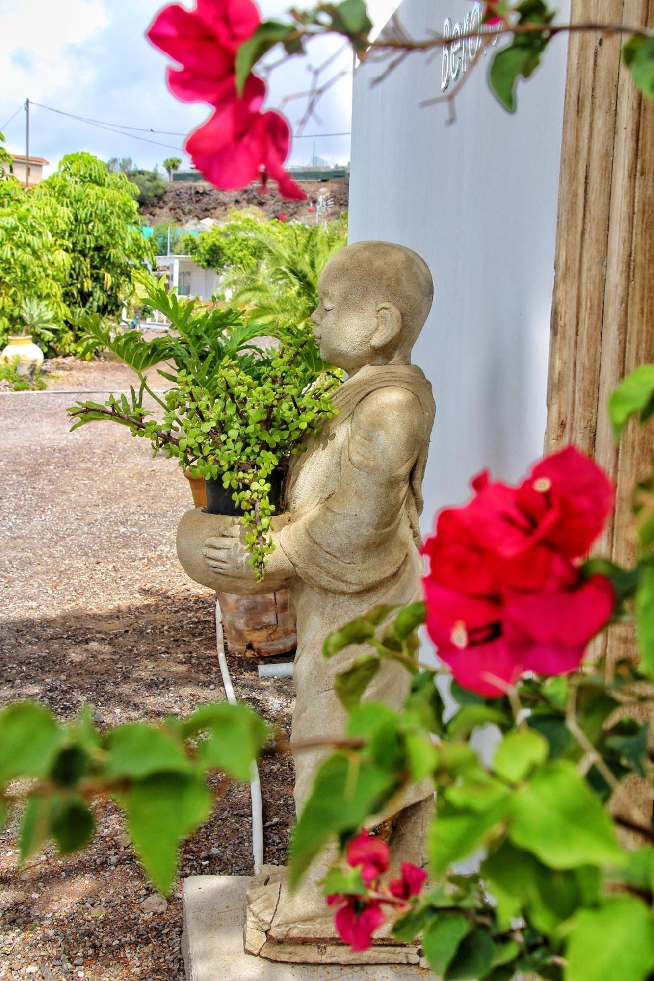 Finca Berolo 4 Guía de Isora Dış mekan fotoğraf