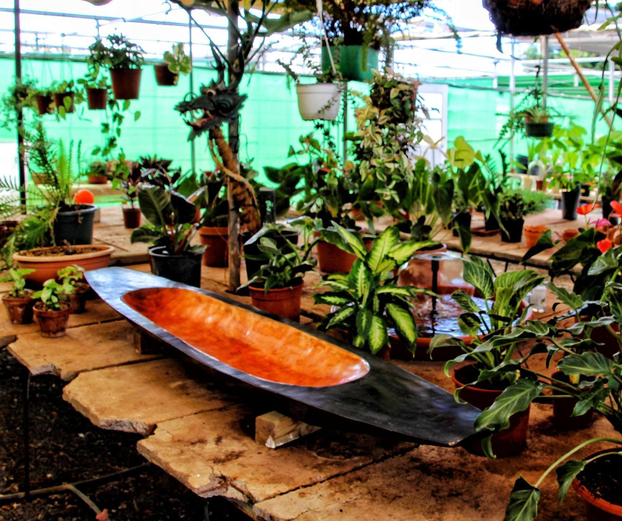 Finca Berolo 4 Guía de Isora Dış mekan fotoğraf